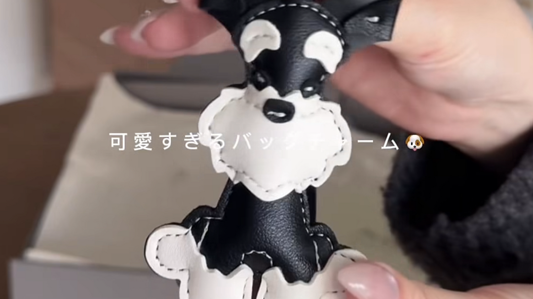 ISOLE｜お客様投稿（ISOLÉ ALONG シュナウザー）